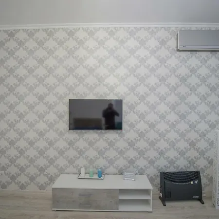 Apartment Victoriei Studio